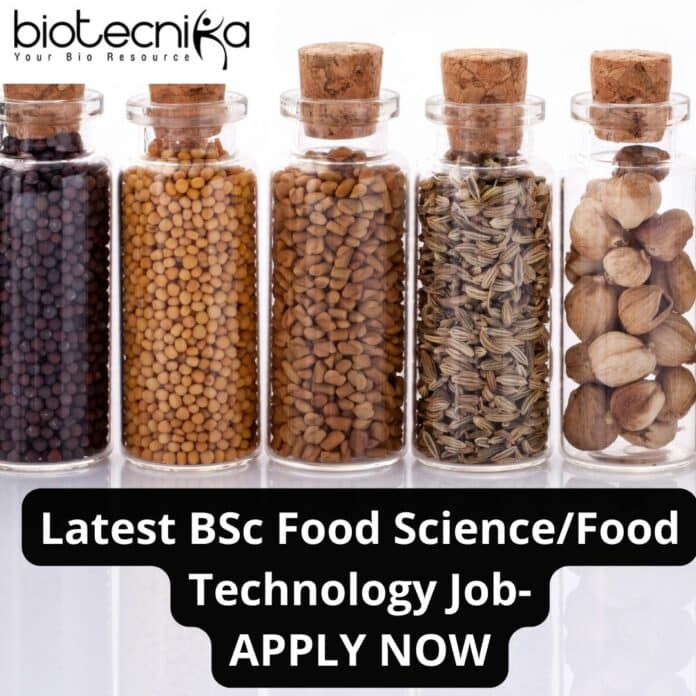 BSc Food Science Jobs, Food Tech Apply For Scientist at McCormick & Company