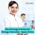 Molecular Biology Internship