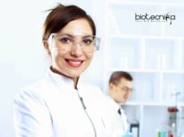 Molecular Biology Internship