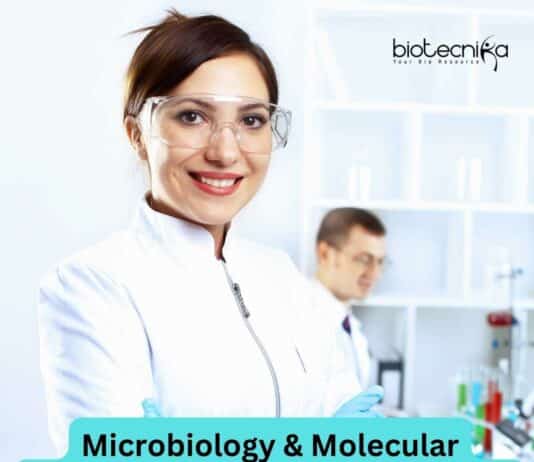 Molecular Biology Internship