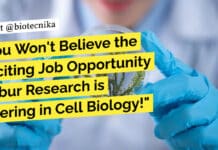 You Won’t Believe the Exciting Job Opportunity Dabur Research is Offering in Cell Biology! Dabur Research Foundation Jobs - MSc, PhD Biotech, Biochem, Biology Apply