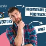 What are Cloning Vectors