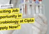 Exciting Job Opportunity in Microbiology at Cipla – Apply Now! BSc Job Cipla Microbiology - Applications Invited Online