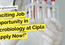 Exciting Job Opportunity in Microbiology at Cipla – Apply Now! BSc Job Cipla Microbiology - Applications Invited Online