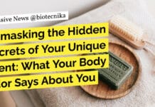 Unmasking the Hidden Secrets of Your Unique Scent: What Your Body Odor Says About You Unmasking the Hidden Secrets of Your Unique Scent: What Your Body Odor Says About You