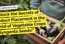 Unlock the Secrets of Product Placement in the World of Vegetable Crops at Syngenta Seeds! "Unlock the Secrets of Product Placement in the World of Vegetable Crops at Syngenta Seeds!"