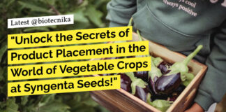 "Unlock the Secrets of Product Placement in the World of Vegetable Crops at Syngenta Seeds!"