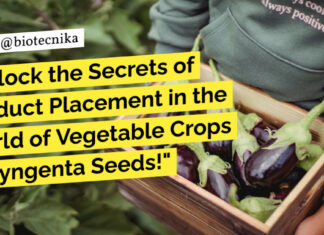 "Unlock the Secrets of Product Placement in the World of Vegetable Crops at Syngenta Seeds!"