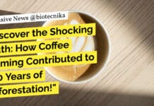 "Discover the Shocking Truth: How Coffee Farming Contributed to 300 Years of Deforestation!"