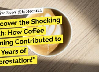 "Discover the Shocking Truth: How Coffee Farming Contributed to 300 Years of Deforestation!"