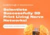 Breakthrough in Neuroscience: Scientists Successfully 3D Print Living Nerve Networks! Scientists Successfully 3D Print Living Nerve Networks!