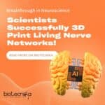 Scientists Successfully 3D Print Living Nerve Networks!