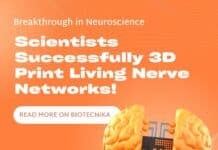 Breakthrough in Neuroscience: Scientists Successfully 3D Print Living Nerve Networks! Scientists Successfully 3D Print Living Nerve Networks!