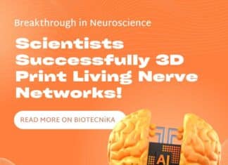 Scientists Successfully 3D Print Living Nerve Networks!
