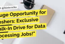 Huge Opportunity for Freshers at Infosys: Exclusive Walk-In Drive for Data Processing Jobs! Infosys Freshers Job - Data Processing Jobs