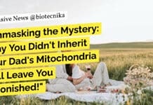 Unmasking the Mystery: Why You Didn’t Inherit Your Dad’s Mitochondria Will Leave You Astonished! "Unmasking the Mystery: Why You Didn't Inherit Your Dad's Mitochondria Will Leave You Astonished!"
