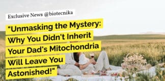 "Unmasking the Mystery: Why You Didn't Inherit Your Dad's Mitochondria Will Leave You Astonished!"