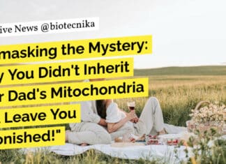 Unmasking the Mystery: Why You Didn’t Inherit Your Dad’s Mitochondria Will Leave You Astonished! "Unmasking the Mystery: Why You Didn't Inherit Your Dad's Mitochondria Will Leave You Astonished!"