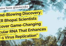 IISER Bhopal Scientists Uncover Game-Changing Circular RNA That Enhances HIV-1 Virus Replication "Mind-Blowing Discovery: IISER Bhopal Scientists Uncover Game-Changing Circular RNA That Enhances HIV-1 Virus Replication"