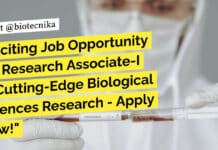 Exciting Job Opportunity for Research Associate-I in Cutting-Edge Biological Sciences Research – Apply Now! Research Associate Biological Sciences Job at NII