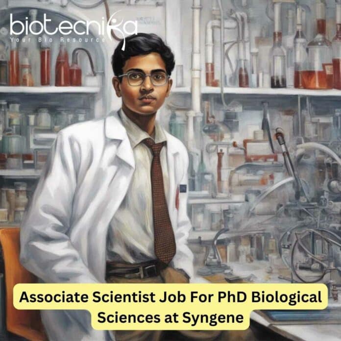 Job at Syngene for PhD