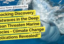Shocking Discovery: Heatwaves in the Deep Ocean Threaten Marine Species – Climate Change Implications Revealed! "Shocking Discovery: Heatwaves in the Deep Ocean Threaten Marine Species - Climate Change Implications Revealed!"