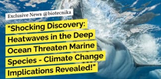 "Shocking Discovery: Heatwaves in the Deep Ocean Threaten Marine Species - Climate Change Implications Revealed!"