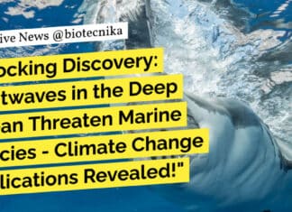 "Shocking Discovery: Heatwaves in the Deep Ocean Threaten Marine Species - Climate Change Implications Revealed!"