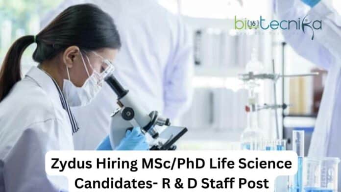 Zydus R&D Job Opening For MSc & PhD Life Sciences - Apply Online