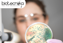 Pfizer Project JRF Position at JSS Medical College, Mysuru – Apply Now JRF Position at JSS Medical College, Mysuru - Apply Now