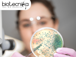 JRF Position at JSS Medical College, Mysuru - Apply Now