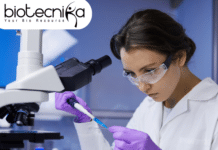 JRF Position at IIT Bombay – MSc Biotech & Biochem Apply Online JRF position at IIT Bombay