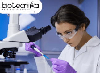 JRF position at IIT Bombay