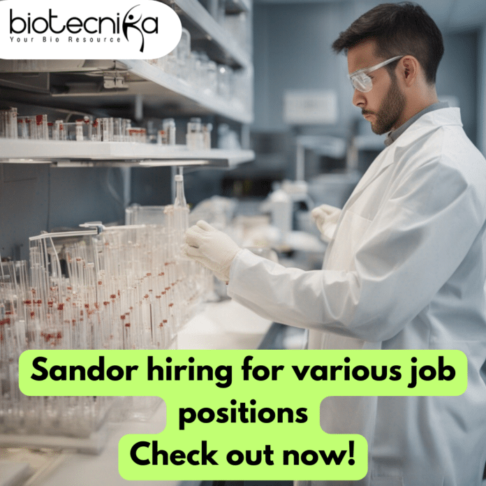 Sandor hiring