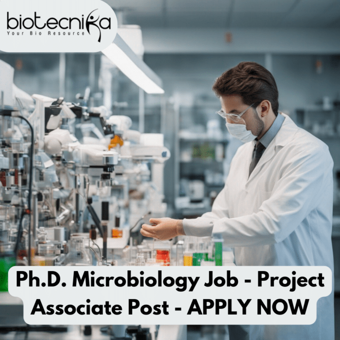 PhD Microbiology Job