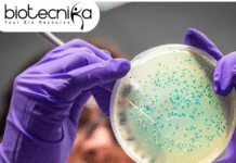 Research Assistant position at IISER Kolkata - Walk-In-Interview