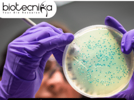 Research Assistant position at IISER Kolkata - Walk-In-Interview