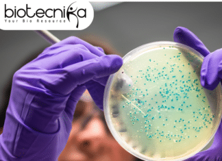 Research Assistant position at IISER Kolkata - Walk-In-Interview