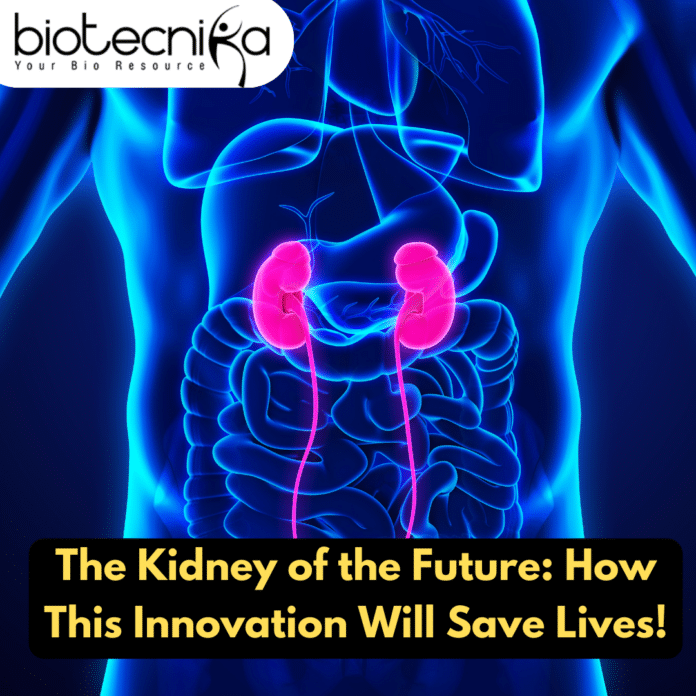 The Kidney of the Future: How This Innovation Will Save Lives!