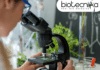 MSc Microbiology Job at Kenvue – Apply For Officer Micro QC Role QUALITY