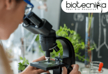 MSc Microbiology Job at Kenvue – Apply For Officer Micro QC Role QUALITY