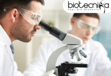 BSc/MSc Biotech, Microbiology & Life Sciences Apply at GastroLab For Specialist Role knowledge, application