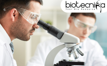 knowledge, application