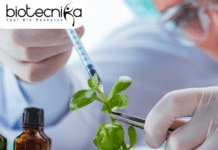 Senior Research Fellow Position at ICAR-NIPB – Apply Now senior research fellow position at