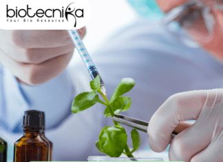 senior research fellow position at