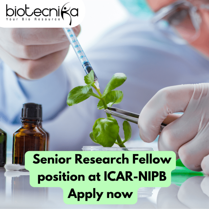 senior research fellow position at