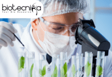 Senior Research Fellow (SRF) Position at ICAR-IARI – Apply Now ICAR-IARI Biotech SRF Job - MSc Candidates Apply