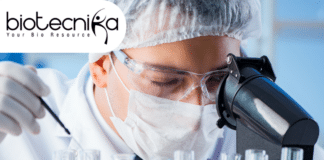 ICAR-IARI Biotech SRF Job - MSc Candidates Apply