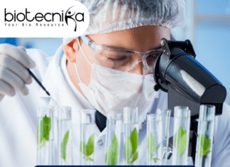 ICAR-IARI Biotech SRF Job - MSc Candidates Apply