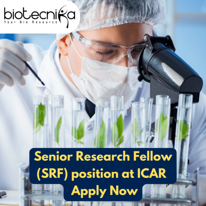ICAR-IARI Biotech SRF Job - MSc Candidates Apply